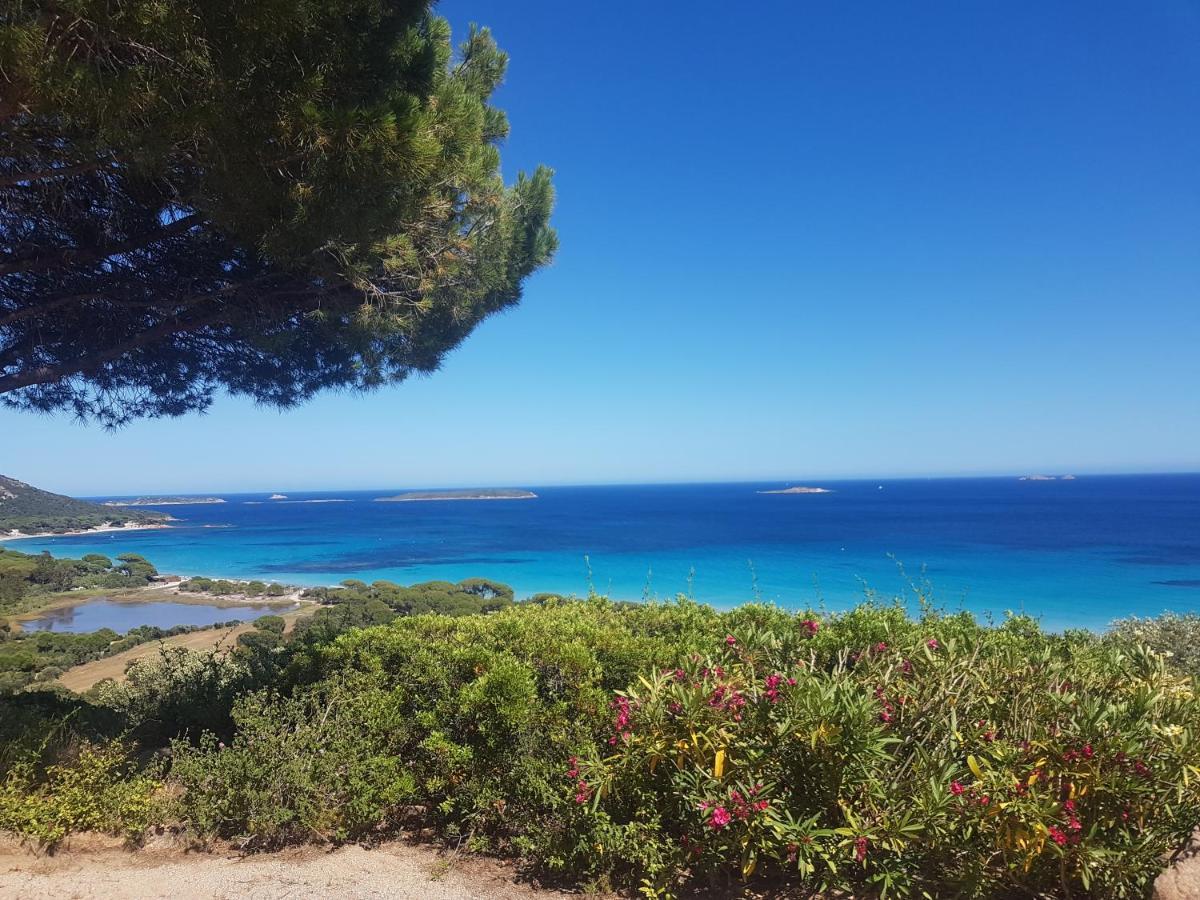 Maison Sur Palombaggia Porto Vecchio Exterior foto